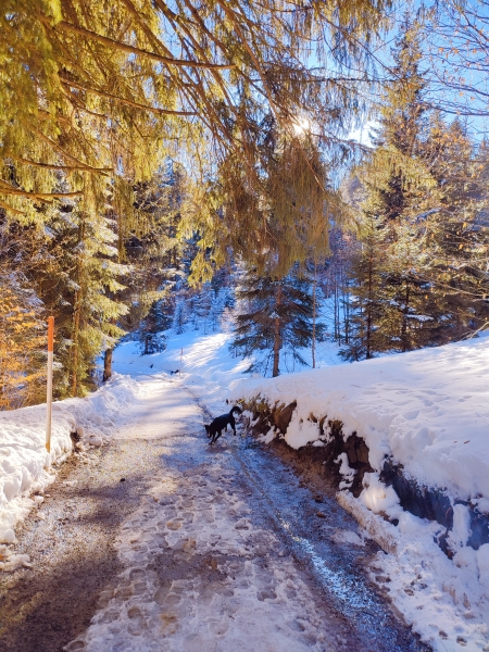 Edmund-Probst-Weg im Winter