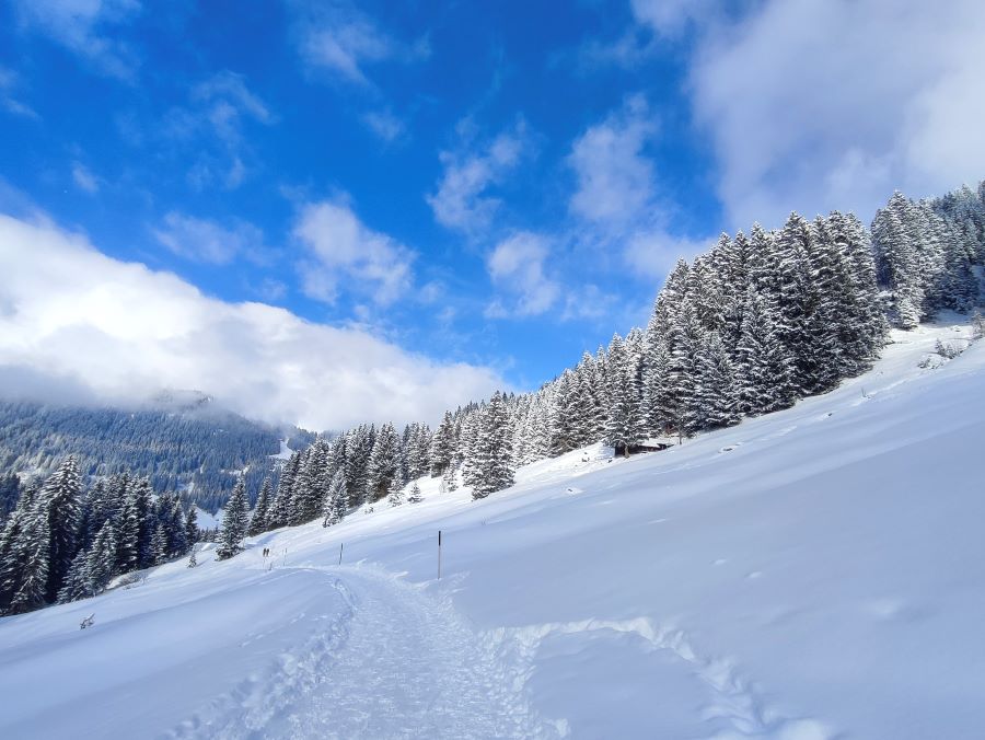 Oberstdorf Winterwandern Panoramaweg zur Bärgunthütte 