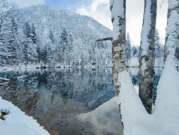 Christlessee Oberstdorf verschneiter Winterwald spiegelt sich im kristallklaren Wasser
