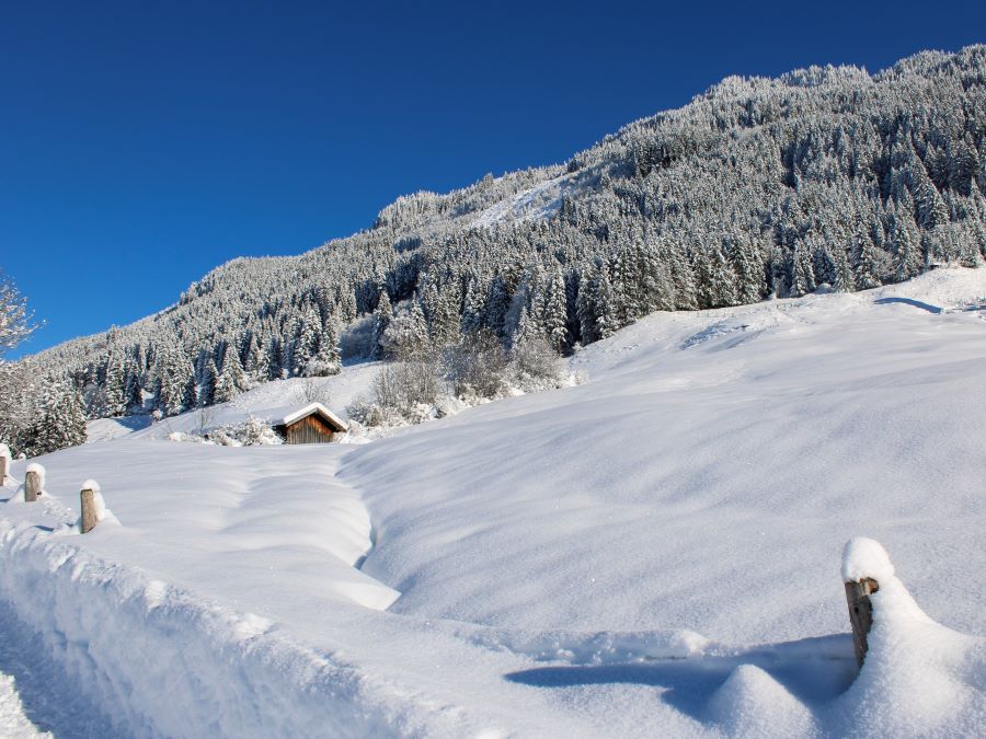 Winterwandern Oberstdorf: Panoramaweg von Reichenbach nach Schöllang