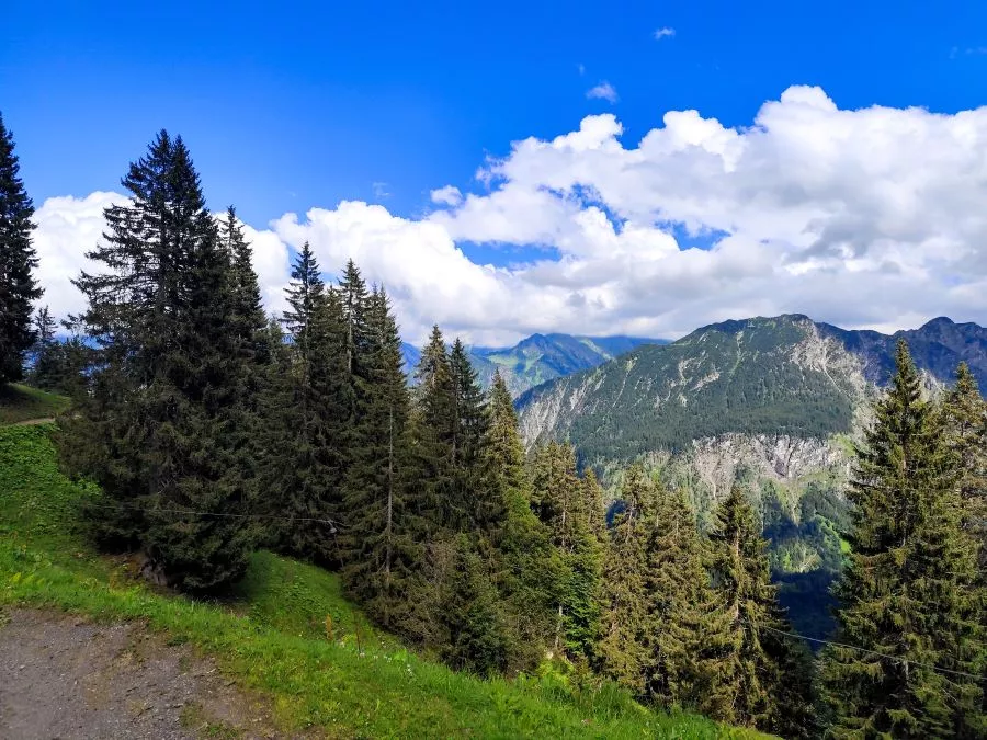 Von der Sölleralpe zur Söllereckbahn