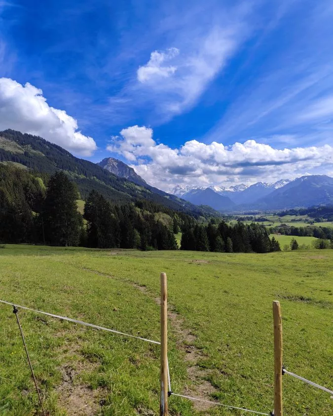 Blick zurück Blick zurück