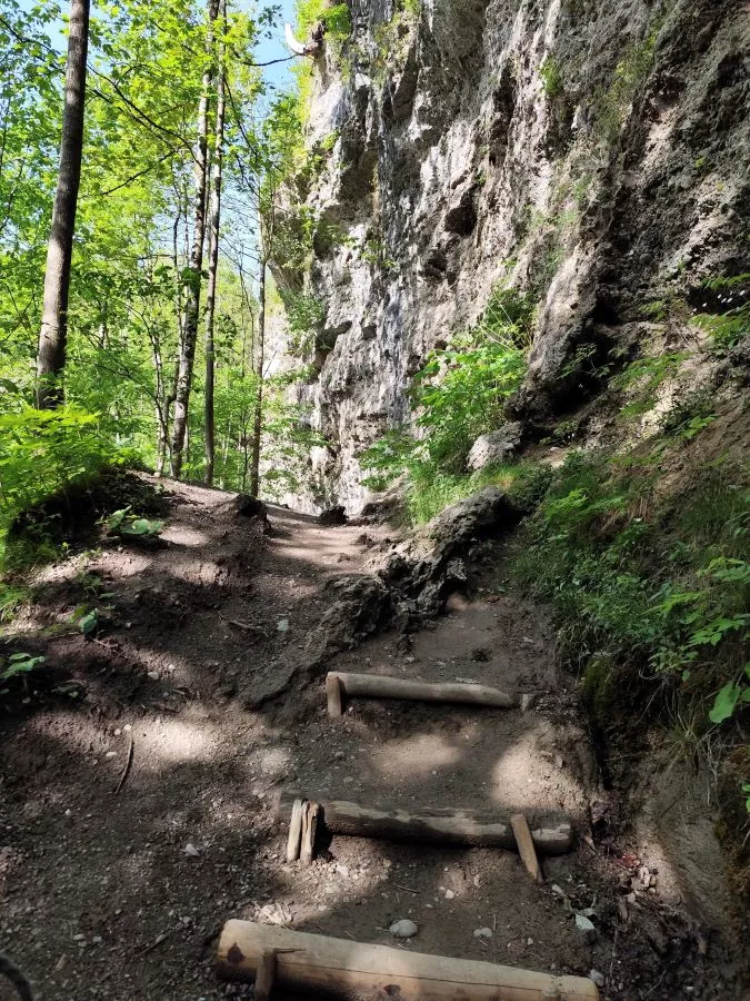 Steig Steig