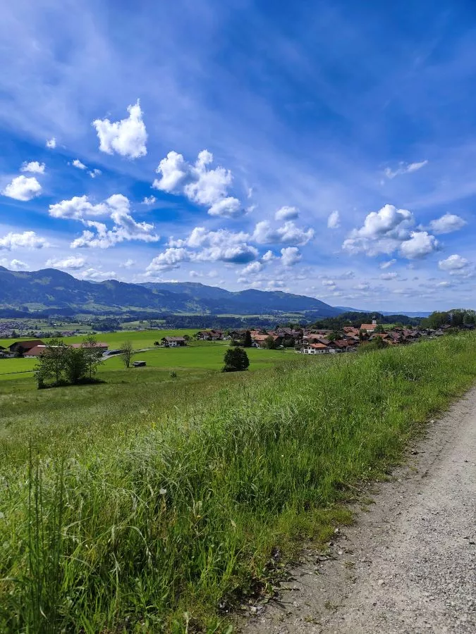 Hörnergruppe im Hintergrund Hörnergruppe im Hintergrund