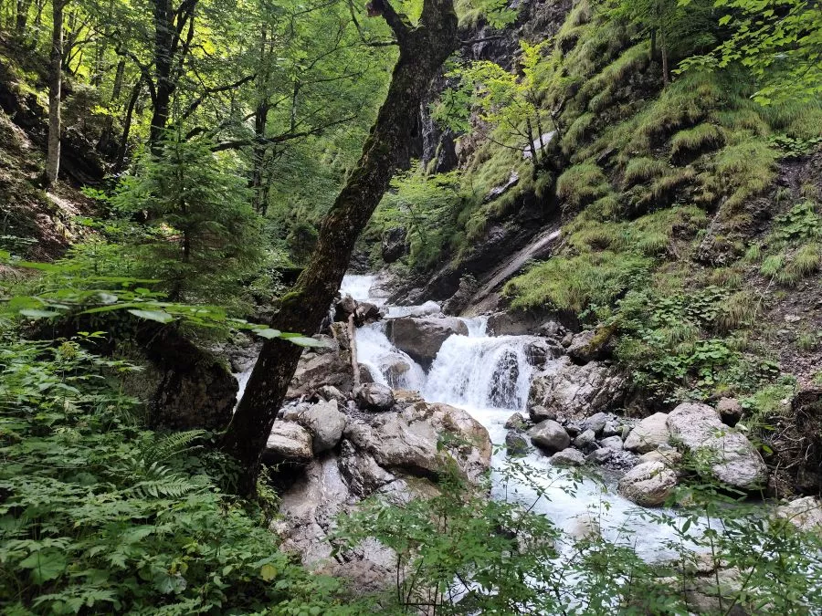 Traufbachtobel Oberstdorf Traufbachtobel Oberstdorf
