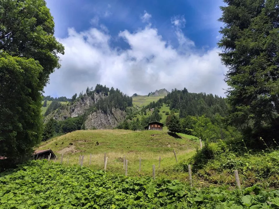 Traufbachtal Oberstdorf Traufbachtal Oberstdorf