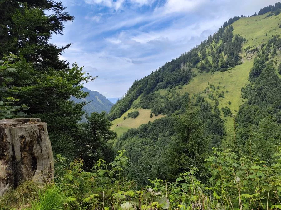 Traufbachtal Oberstdorf Traufbachtal Oberstdorf