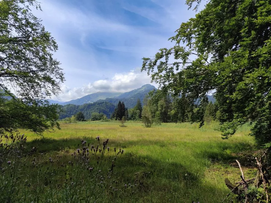 Moorweiher Oberstdorf Moorweiher Oberstdorf