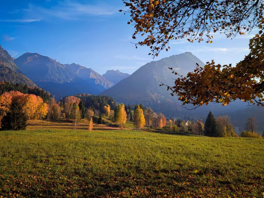 Moorweiher Oberstdorf Blick von der Hofmannsruh ins Trettachtal